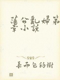 荡公乱妇第51章小说封面