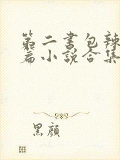 第二书包辣网短篇小说合集