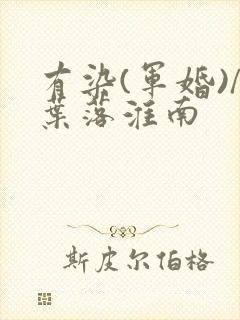 有染(军婚)/叶落淮南