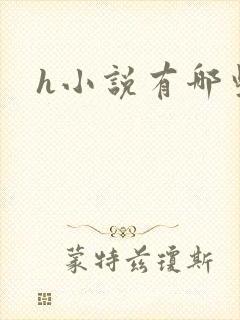 h小说有哪些封面