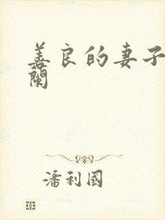 善良的妻子王晓兰