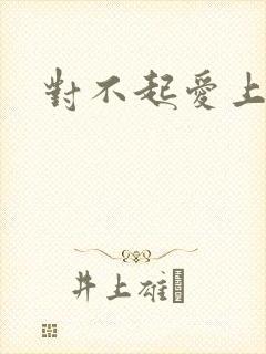 对不起爱上你封面