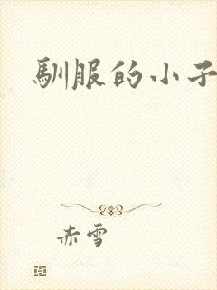 驯服的小子4封面