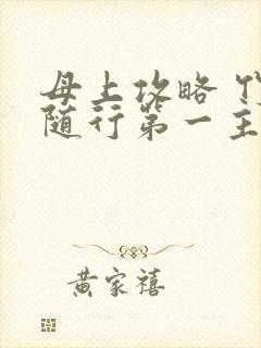 母上攻略 竹影随行第一主板