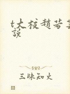 t大校赵若芸小说封面