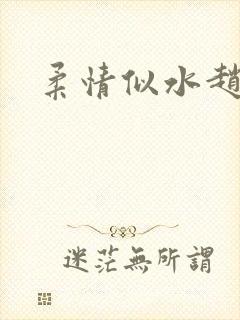 柔情似水赵雅儿