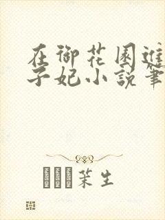 在御花园进入太子妃小说笔趣阁