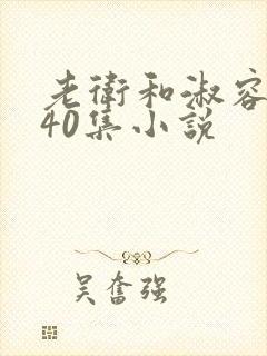 老卫和淑容1-40集小说