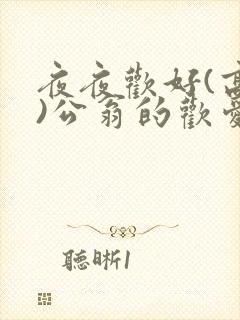 夜夜欢好(高h)公翁的欢爱