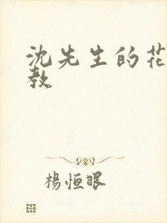 沈先生的花式调教