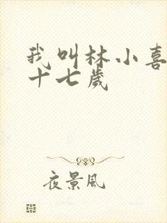 我叫林小喜今年十七岁
