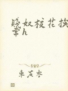 贱奴校花挨脔日常h