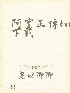 阿宾正传txt下载