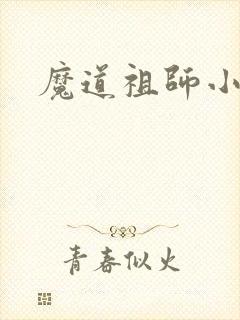 魔道祖师小说