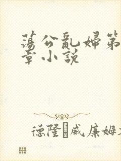 荡公乱妇第51章小说