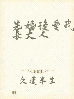 先婚后爱我的市长大人封面