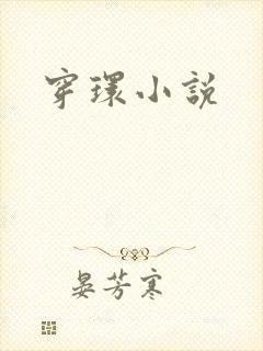 穿环小说