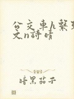 公交车h系列辣文n诗晴封面