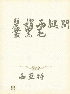 丽娟两腿间一大丛黑毛