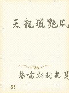 天龙猎艳风流封面