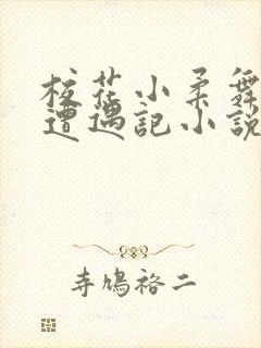 校花小柔舞蹈室遭遇记小说