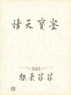 情天宝鉴