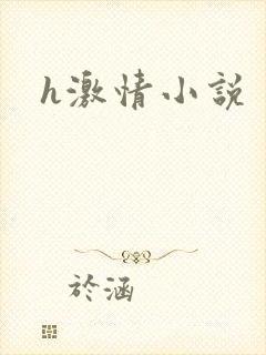 h激情小说