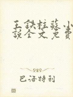 王铁柱苏小汐小说全文免费阅读最新章节封面