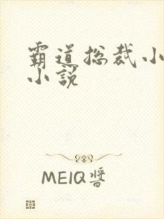 霸道总裁小娇妻小说