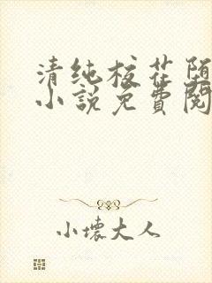 清纯校花堕落记小说免费阅读