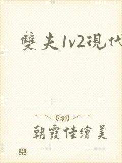 双夫1v2现代封面