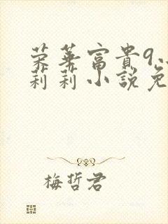 荣华富贵9小王莉莉小说免费阅读