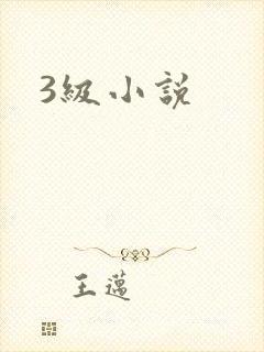 3级小说