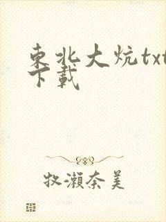 东北大炕txt下载