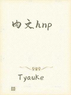 肉文hnp