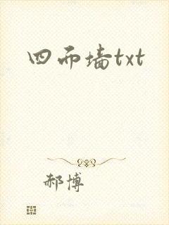 四面墙txt