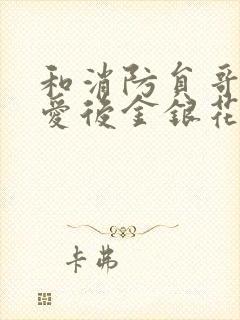 和消防员哥哥恋爱后金银花趣笔阁封面