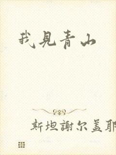 我见青山封面