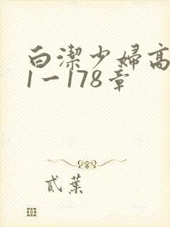 白洁少妇高义第1一178章