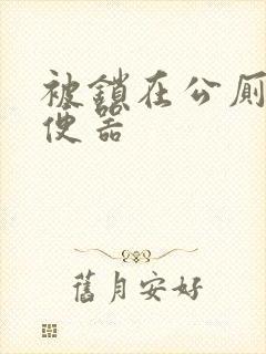 被锁在公厕当坐便器