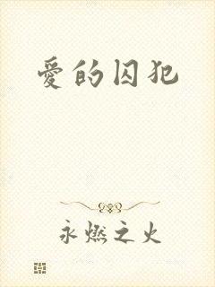 爱的囚犯封面