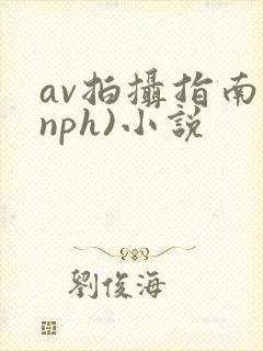 av拍摄指南(nph)小说封面