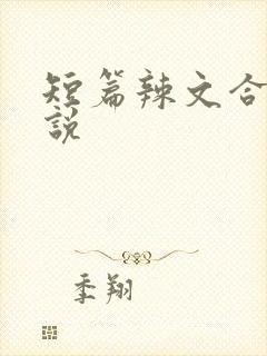 短篇辣文合集小说