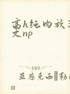 高h纯肉放荡h文np
