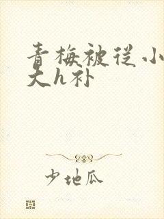 青梅被从小摸到大h补封面