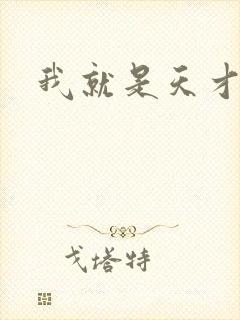 我就是天才封面