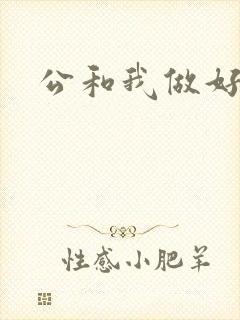 公和我做好爽封面