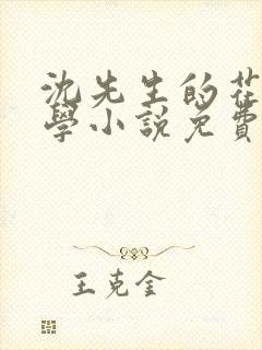 沈先生的花式教学小说免费