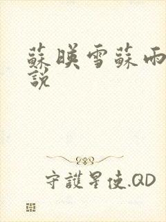 苏映雪苏雨柔小说封面