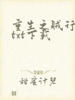 重生之贼行天下txt下载